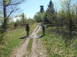 The official website of caribbean visual artist avantia damberg. Damberg Bei Steyr Wanderung Alpenvereinaktiv Com