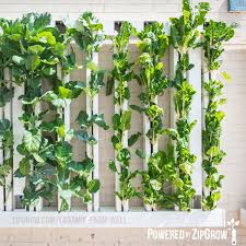Indoor vertical plants generally do not need a lot of upkeep. Farm Wall System Zipgrow Green Wall Simple Productive Beautiful