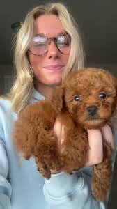 Quentin Dunn's Instagram, Twitter & Facebook