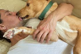 Fundraiser by Jonathan Schara : Please help me get my dog back