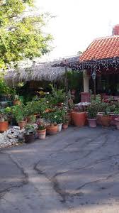 Mooie Planten En Tuin Picture Of Landhuis Daniel Curacao Tripadvisor