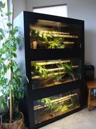 Stacked Reptile Enclosure Just Need To Make Sure Its Escape Proof In 2020 Reptile Enclosure Diy Reptile Reptile Room