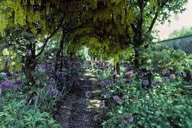 Shade Gardening Rhs Gardening Shade Garden Vegetable Garden Layout Plan Garden Planning Layout