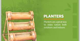 Bamboo furniture can be made from bamboo using the sawmill. Fun And Easy Diy Bamboo Projects Forever Bamboo
