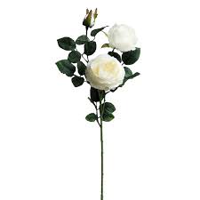 Maybe you would like to learn more about one of these? Cream English Rose Stem By Ashland Michaels