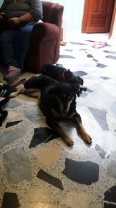 жизнь на полной мощности авторы джим лоэр и тони шварц Pin De Marcia Herrera En Mis Ninas Ninos