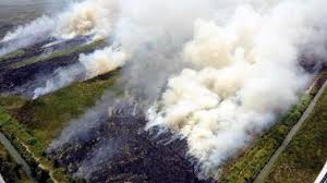 Pada pembakaran sempurna, reaktan terbakar dengan oksigen menghasilkan beberapa produk. Indonesia Keluar Fatwa Haram Berhubung Pembakaran Hutan