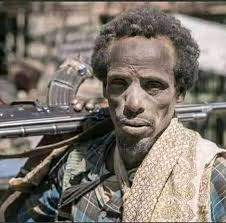 Ephrem Kifle (@ephrem_kifle)