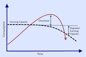 Carrying Capacity And Overshoot