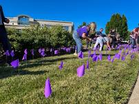 Elder Abuse Awareness Flag Planting