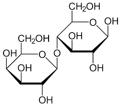 Lactose Intolerance Wikipedia