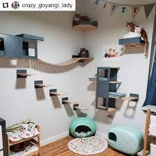 We Ve Got Every The Latest Climbing Ideas For Cats Stylish And Working Cat Wall Condos Trees And Perches Absolute For Yo In 2021 Cat Room Cat Bedroom Cat Room Diy