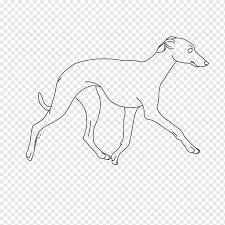 Check spelling or type a new query. Whippet Png Images Pngwing