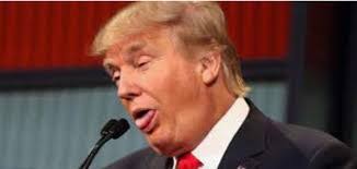 Anthony Derobertis's Instagram, Twitter & Facebook