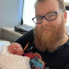 How to get rid of large black ants?