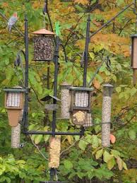 Aps Bird Feeder Pole System Woodpecker System Hanging On One Pole Is 4 Tail Prop Suet Feeders 2 Peanut Feeders 1 Seed Cylinder Wild Birds Unlimited Backyard Birds Bird Feeding Station