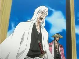 Inmediatamente después del ataque de pain, el raikage hace un llamado a las demás aldeas para discutir acerca de sasuke, el cual atacó a la aldea oculta de las nubes; Assistir Bleach Dublado Episodio 55 Online