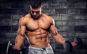 How To Gain Muscle & Strength In Just 1-2 Workouts A Week | Muscle &  Strength