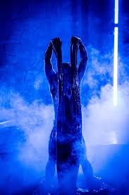 Bildergebnis für Joshua Serafin