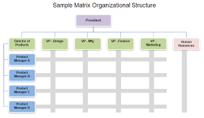 All Inclusive Product Management Organization Chart