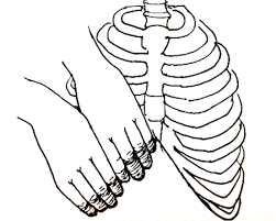 Pin On Slipping Rib Syndrome