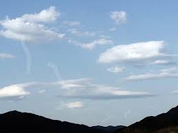 Image result for Floaters