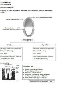 Soal latihan bhs indonesia kelas 3 sd. 17 Nota Sains Tahun 3 Yang Terhebat Untuk Para Murid Dapatkan Pendidikan Abad Ke 21