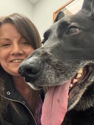 Hi all! I just wanted to introduce myself and share a photo I took! Nelson  Bolden Jr.s. Former Steeler.. my best friend! 🖤💛