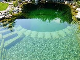Koupaci Jezirka Aneb Koupani Na Zahrade Bez Chemie Denik Cz In 2020 Swimming Pond Natural Pond Swimming Pool Pond