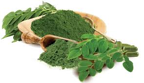 Moringa Powder Per KG – Green Cloud Solutions