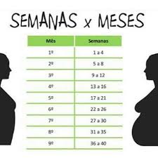 Calcular Quantas Semanas De Gestação Estou Pin De Alineda Silva Em Girl Power 15 Semanas De Gravidez Meses De Gravidez Anuncio De Gravidez