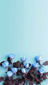 See more ideas about spring wallpaper, wallpaper, spring desktop wallpaper. Pin On Blumen