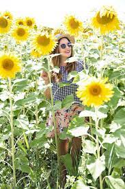 Avignon Orange And Sunflowers Sunflower Pictures Sunflower Breathtaking Photography