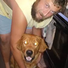 What are recommendations for installing stock fence and flooring in Hale  Michigan?