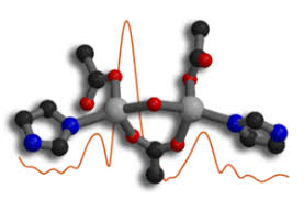 Fighting Antibiotic Resistance: The dapE-encoded  N-succinyl-L,L-Diaminopimelic Acid Desuccinylase from Haemophilus influenzae  is a Dinuclear Metallohydrolase | Stanford Synchrotron Radiation Lightsource