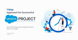 Seven Important Steps To A Successful Salesforce Project Acceptance Testing Success Salesforce
