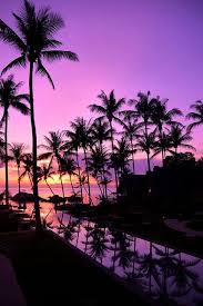  Sunset West Key Atsunset At Key West Fotografi Pantai Fotografi Alam Latar Belakang