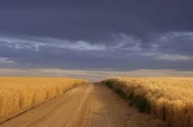 Book Review: For Not Finding You by Robert Day