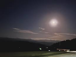 Shawn Proffitt (@shawn.h.proffitt) • Instagram photos and videos