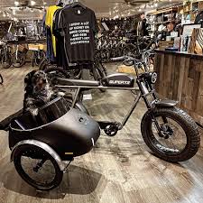 Image result for bicycle sidecar