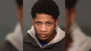 Good Samaritans jump into action after witnessing kittens thrown from  vehicle