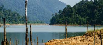 Treasure of nature the royal belum state park is located in the gerik, perak, (hulu perak area). Exclusive Travel Tips For Your Destination Royal Belum State Park In Malaysia