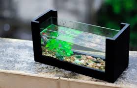 Aquarium kaca 80*40*40cm tebal keliling 5mm bawah 6mm + rak: Daftar Harga Pasaran Akuarium Kecil Medium Besar 2020