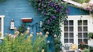 Gerris2 wilmington, de (zone 7a) jan 23, 2010. How To Use Morning Glory Vines Sunset Magazine