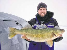 Pan frying walleye cheek meat. Northern Walleye Pike Fish Sandwhiches Again At Culver S Audiokarma Home Audio Stereo Discussion Forums