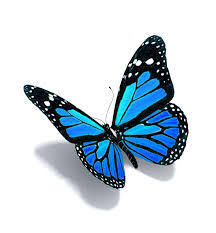 Stan 39 S Apple 26 Butterflies Welcome Print Template For The Decorative Butterflies Dekoschmett Blue Butterfly Tattoo Blue Butterfly 3d Butterfly Tattoo