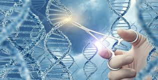 Scientists Move Closer To Treatment For Huntington S Disease Science Research News Frontiers