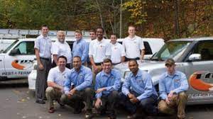 Its technicians are fully trained and certified to treat and prevent ants, bees, ticks, termites, and many other harmful household pests. Best 15 Pest Control Services In Woodstock Ny Houzz