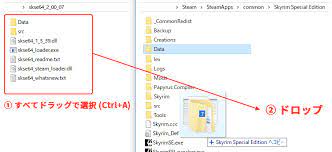 Maybe you would like to learn more about one of these? Skseã®å°Žå…¥æ–¹æ³• Skyrimshot