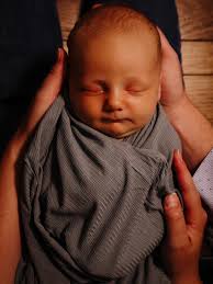 Profile for Captive Butterfly Photography